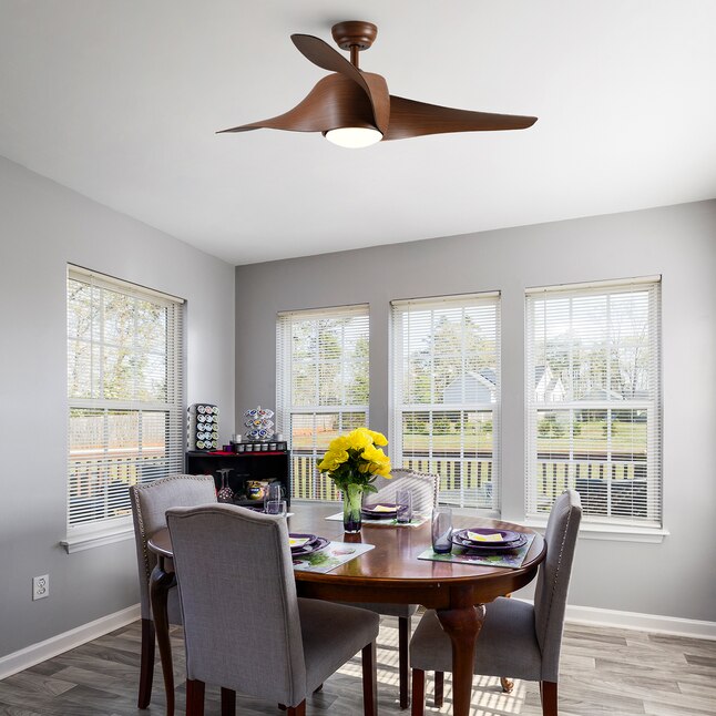 Ceiling Fan with Lights