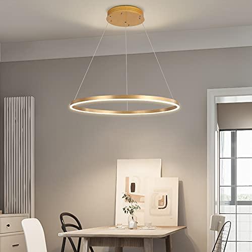 Solus Ring Chandelier
