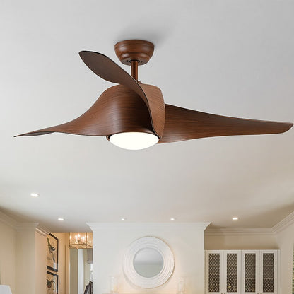 Ceiling Fan with Lights