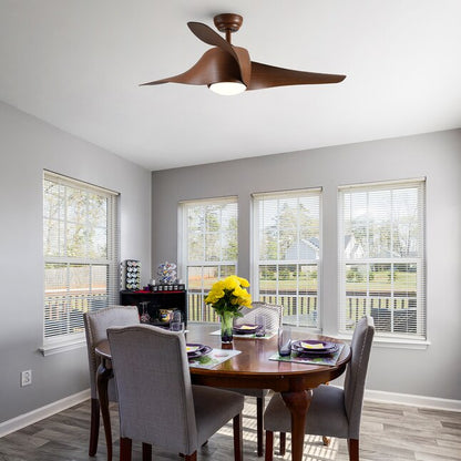 Ceiling Fan with Lights