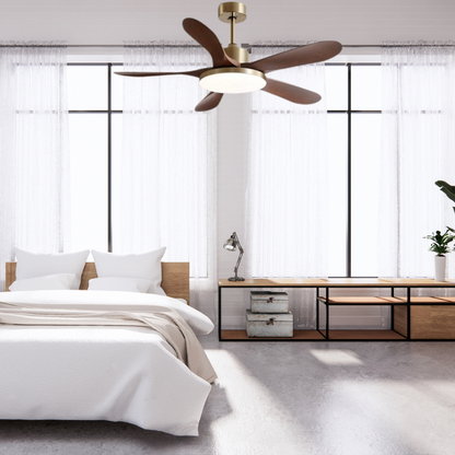 Ceiling Fan with Light Chandelier