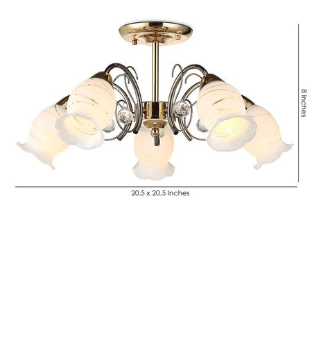 CURO - 5 Lights - Stello Light Studio